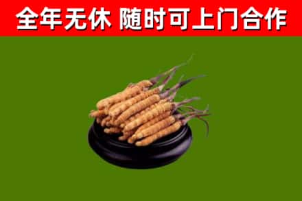 永登县烟酒回收冬虫夏草.jpg